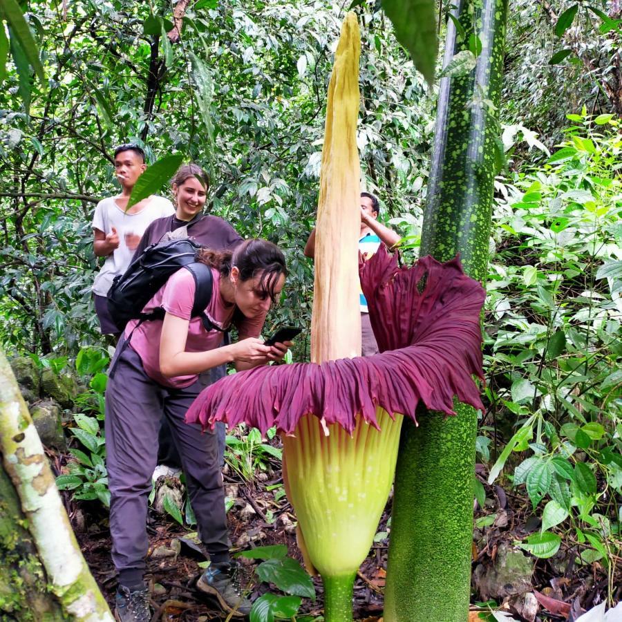 Bukit Lawang Exterior foto