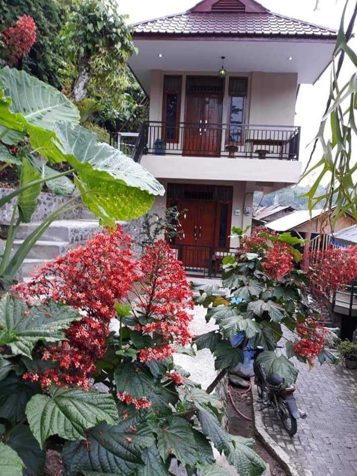 Bukit Lawang Exterior foto